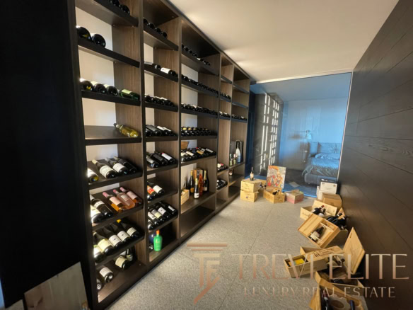 villa na ozere madzhore32