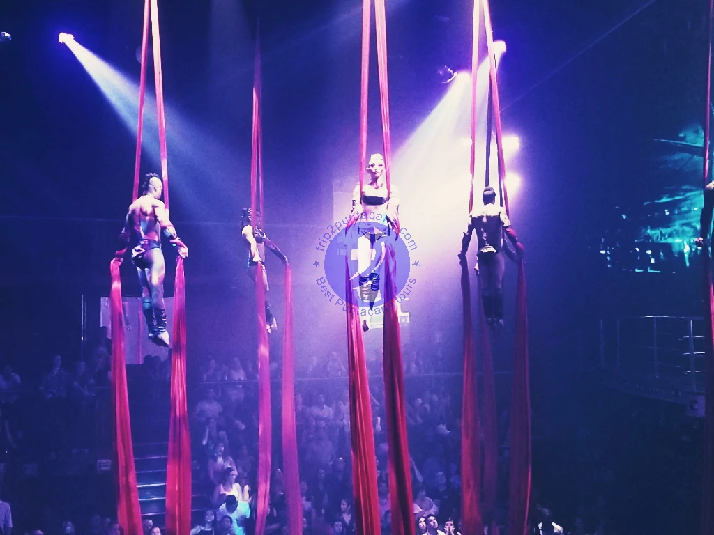 Punta Cana Performers showcasing aerial silk acts during a vibrant Punta Cana event.