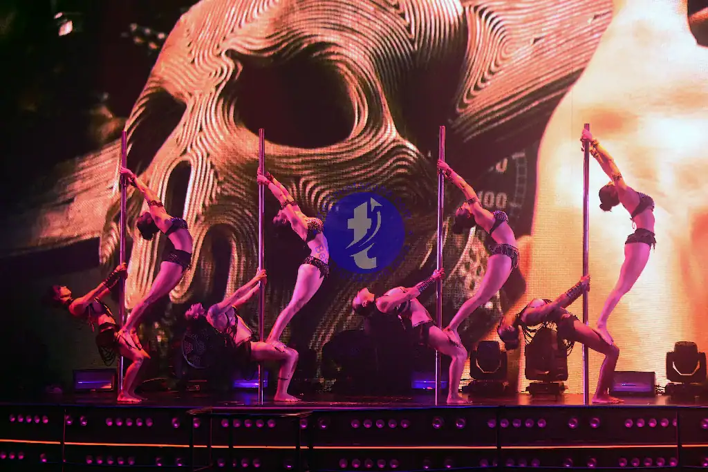 Punta Cana Performers execute a synchronized acrobatic routine with poles on a brightly lit stage, showcasing s.
