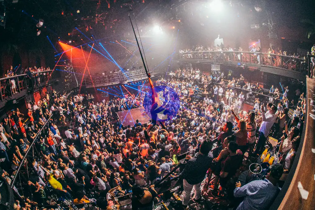 Punta Cana Aerial acrobat performing in a lively nightclub with a large audience and vibrant lighting.