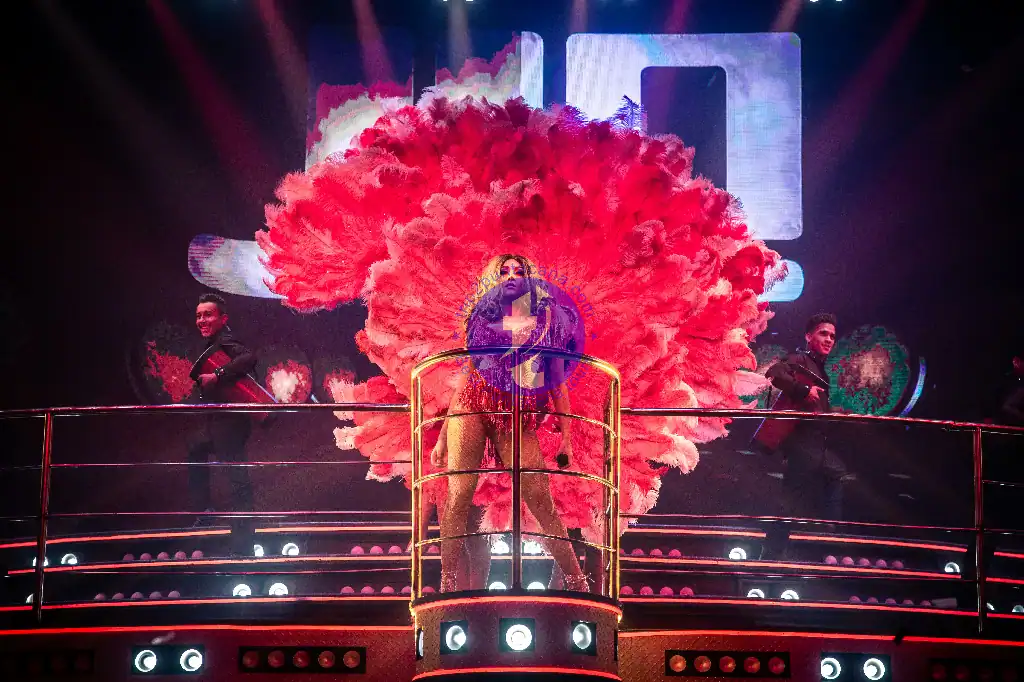 Punta Cana Singer on stage with colorful smoke effects during Punta Cana concert.