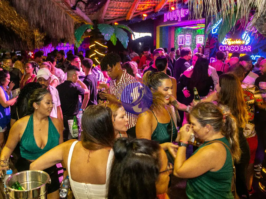 Punta Cana A crowded dance floor with people enjoying music and drinks.