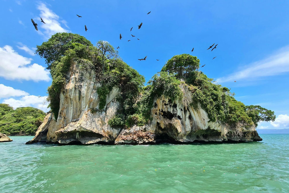 Punta Cana Punta Cana tour excursion Dominican Republic with lush mangroves and caves.