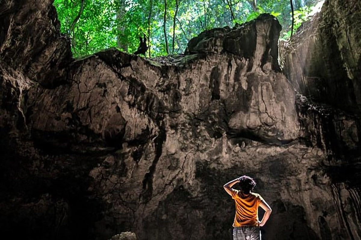 Punta Cana Punta Cana tour excursion Dominican Republic exploring caves and lush mangroves.