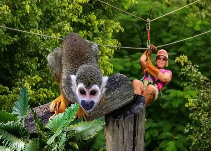 Punta Cana Punta Cana tour excursion Dominican Republic.
