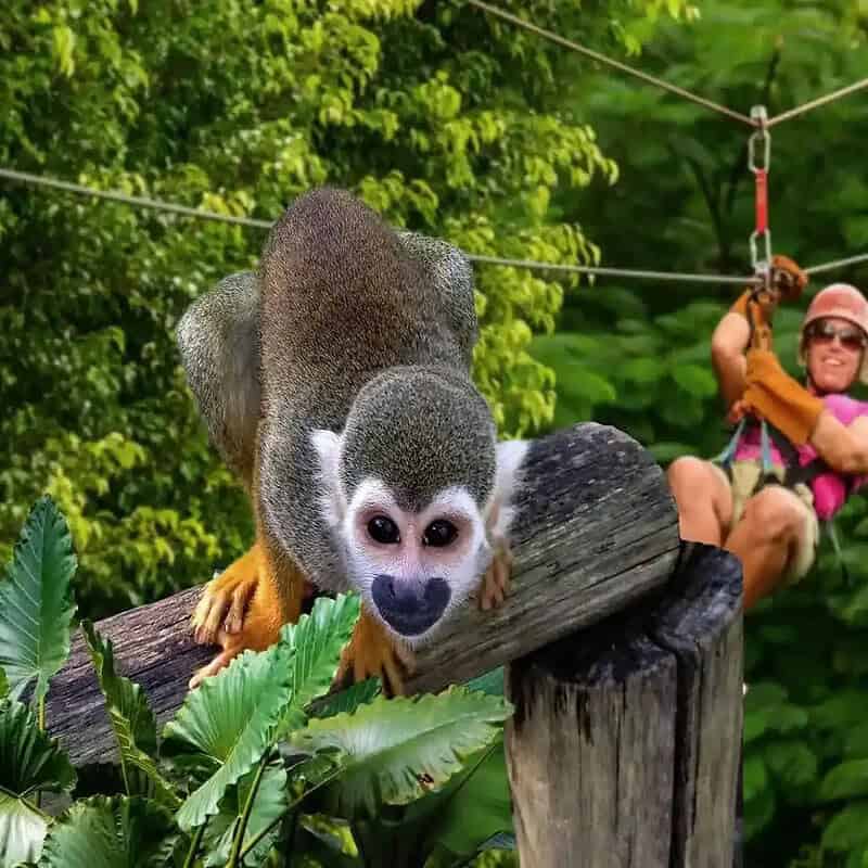 Punta Cana Punta Cana tour excursion Dominican Republic.
