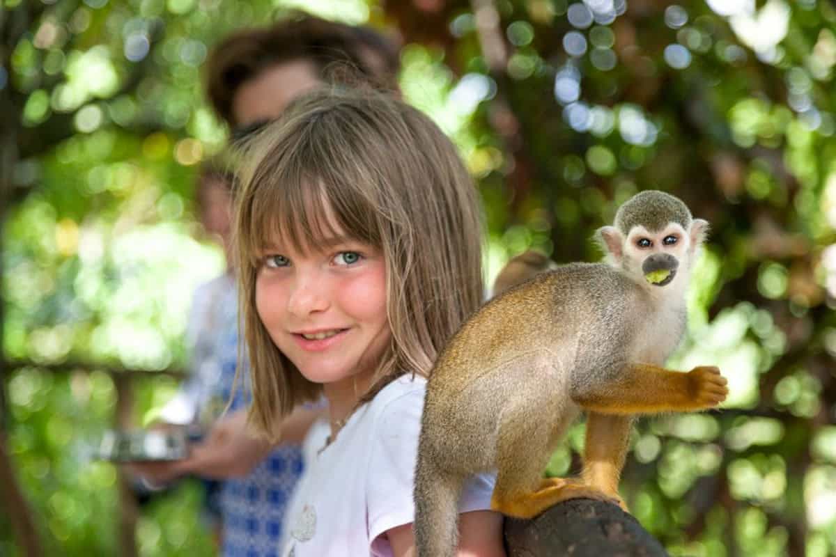 Punta Cana Punta Cana tour excursion Dominican Republic.