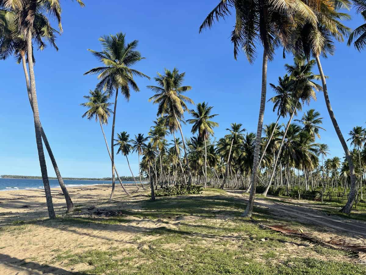 Punta Cana Punta Cana tour excursion Dominican Republic.