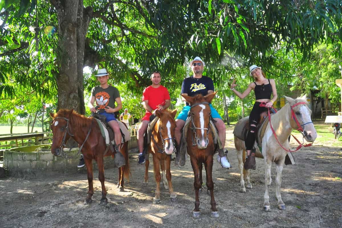Punta Cana Group of four people riding horses in a tropical outdoor setting.
