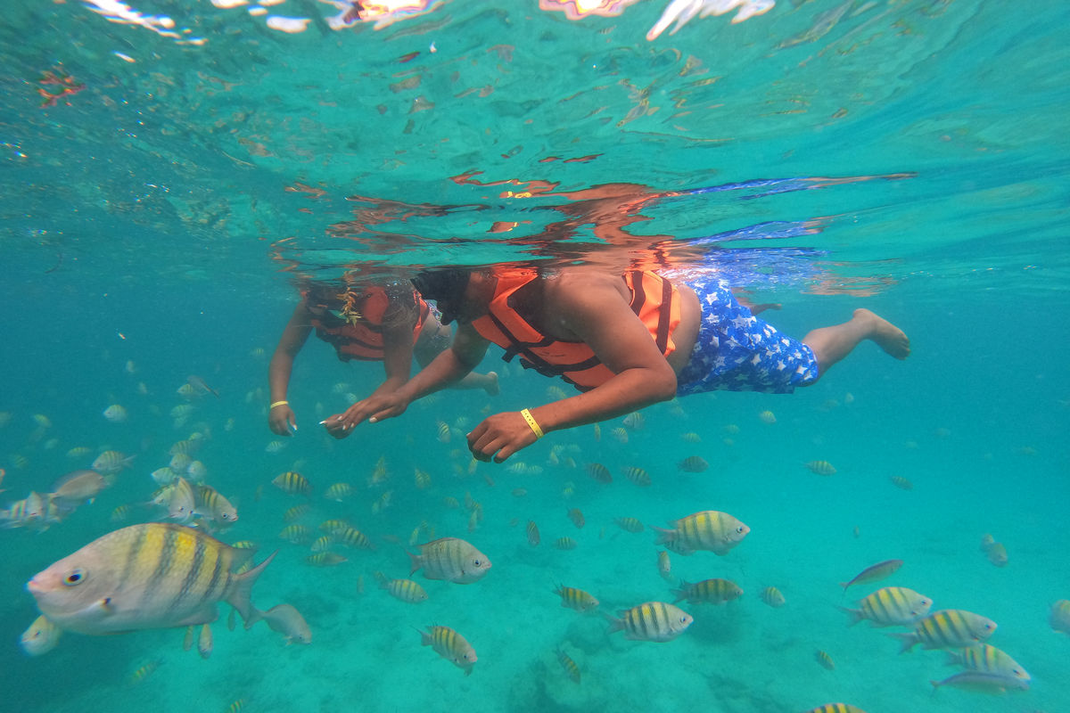Punta Cana Punta Cana tour excursion Dominican Republic.
