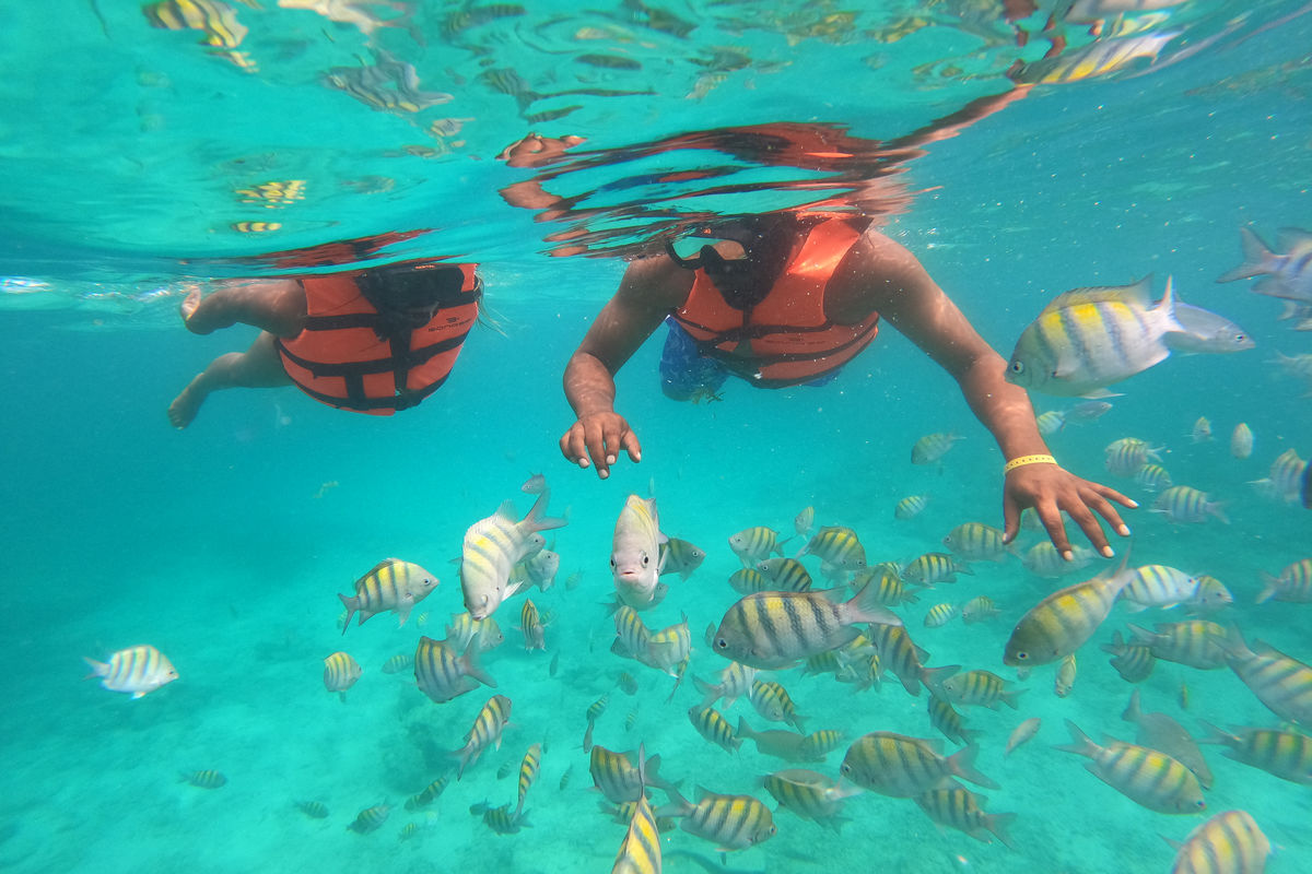 Punta Cana Punta Cana tour excursion Dominican Republic, snorkeling with colorful fish in clear Caribbean water.