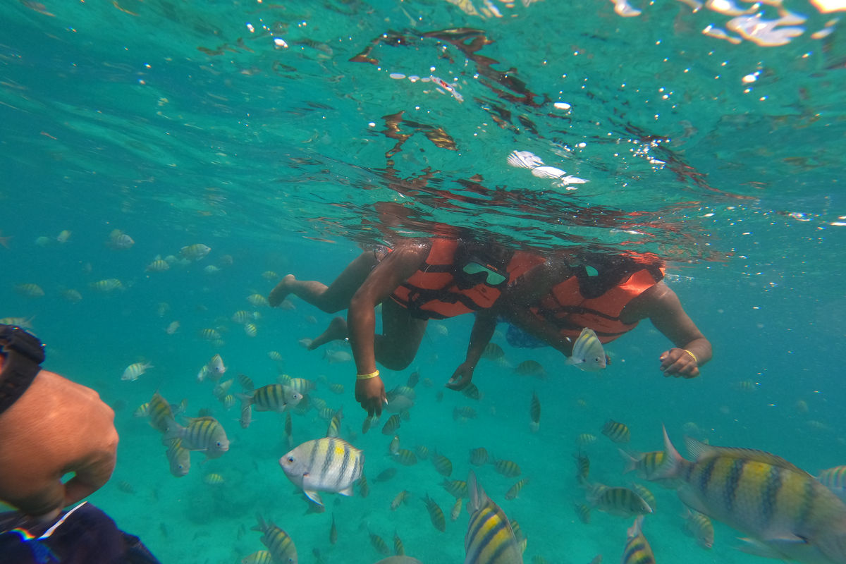 Punta Cana Punta Cana tour excursion Dominican Republic.
