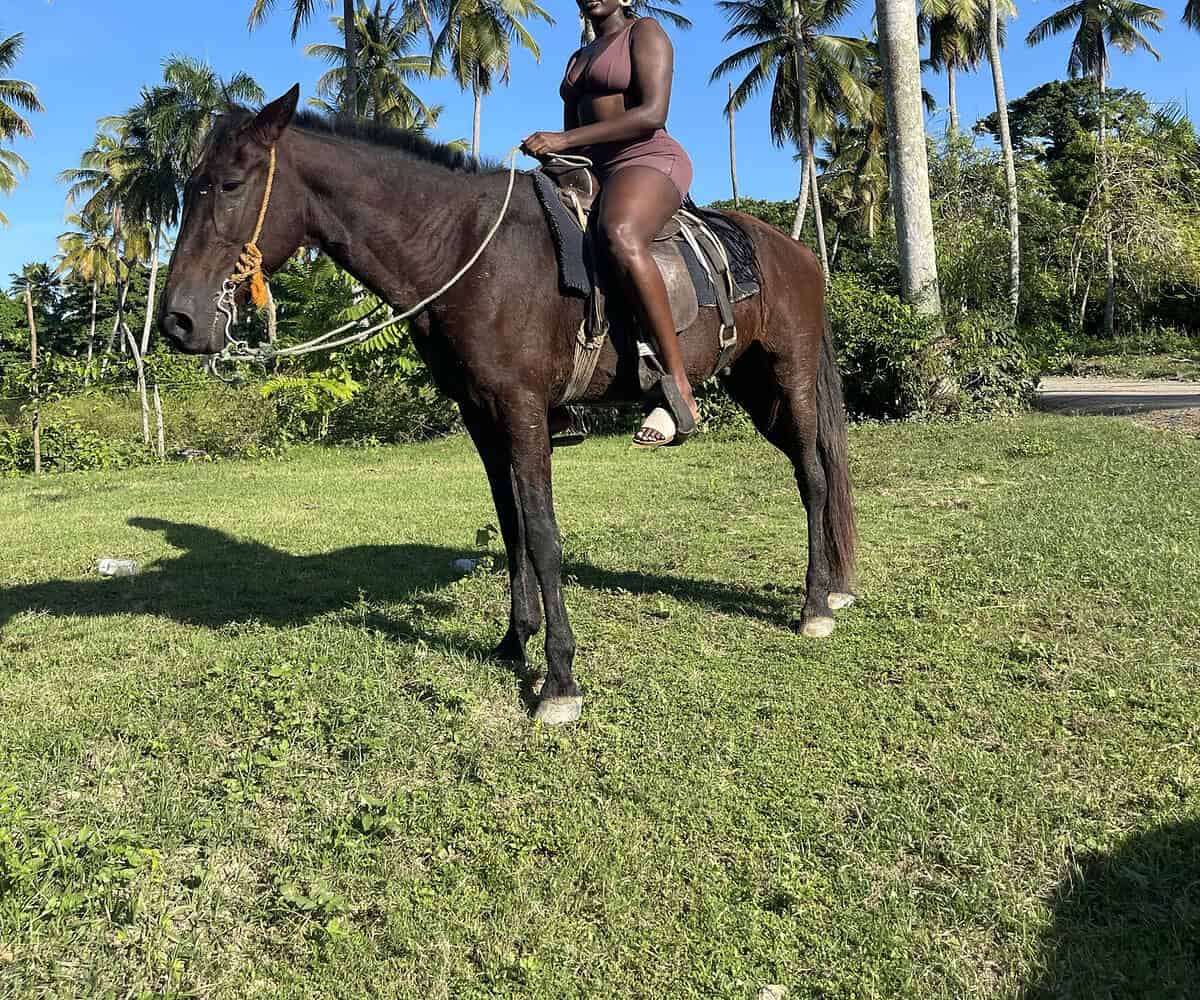 Punta Cana Punta Cana tour excursion Dominican Republic.