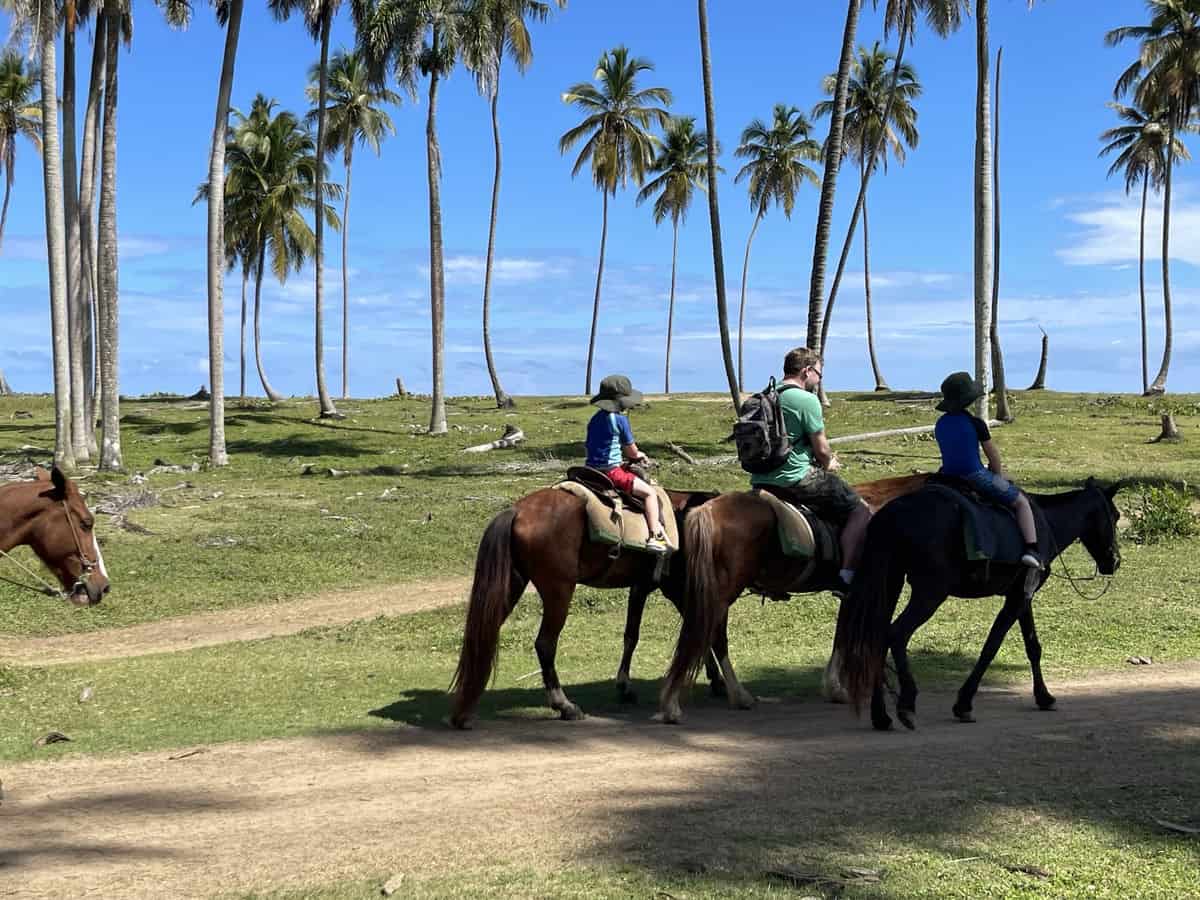 Punta Cana Punta Cana tour excursion Dominican Republic.