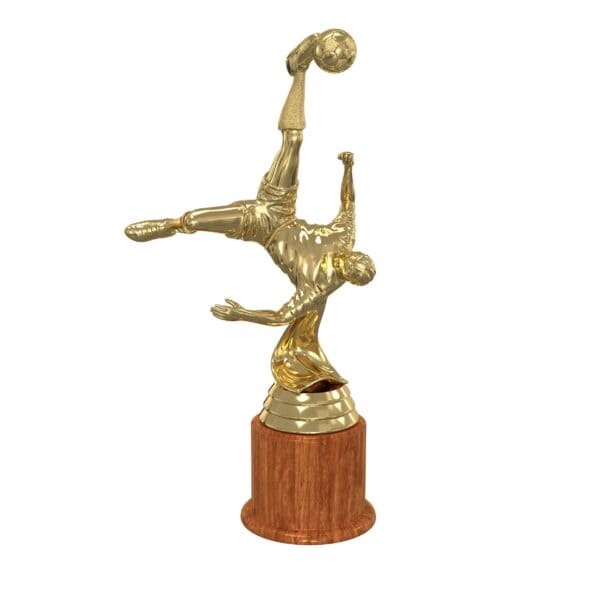 Custom Football Trophies - 图片 2