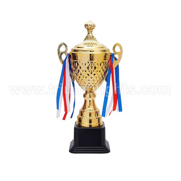 Gold Award Custom Trophy