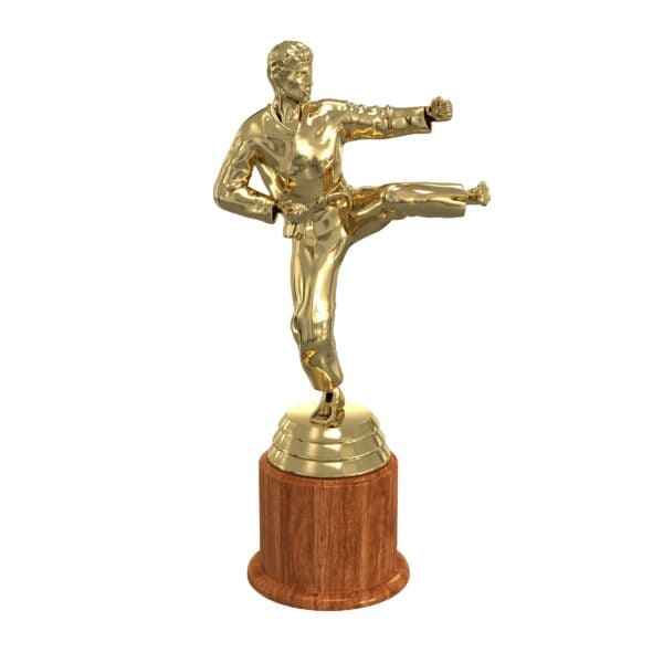 Custom Football Trophies - 图片 3
