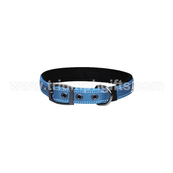 Custom Dog Collars