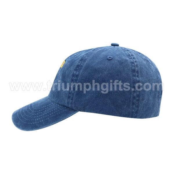 Embroidered Dad Hats
