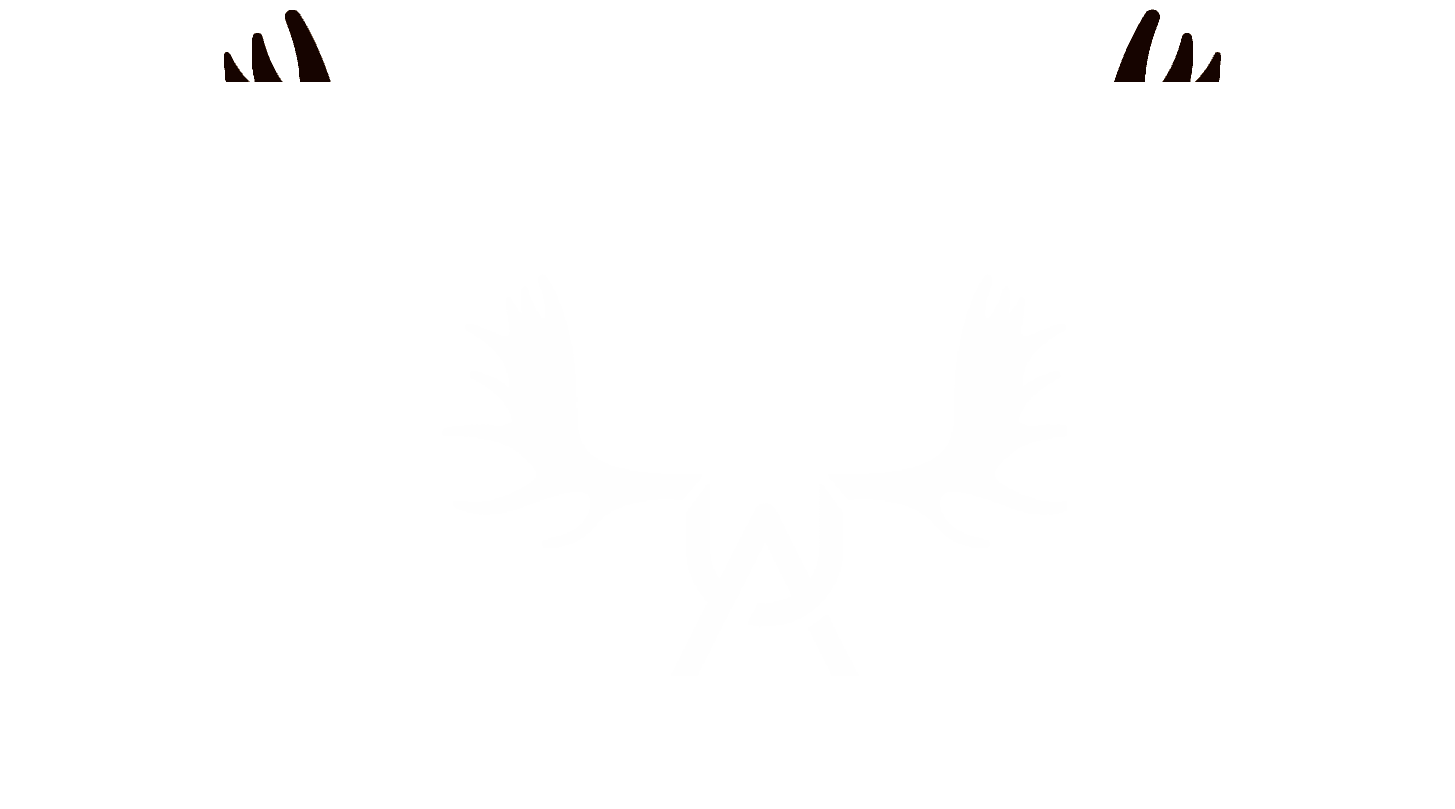 Unique Antler Design