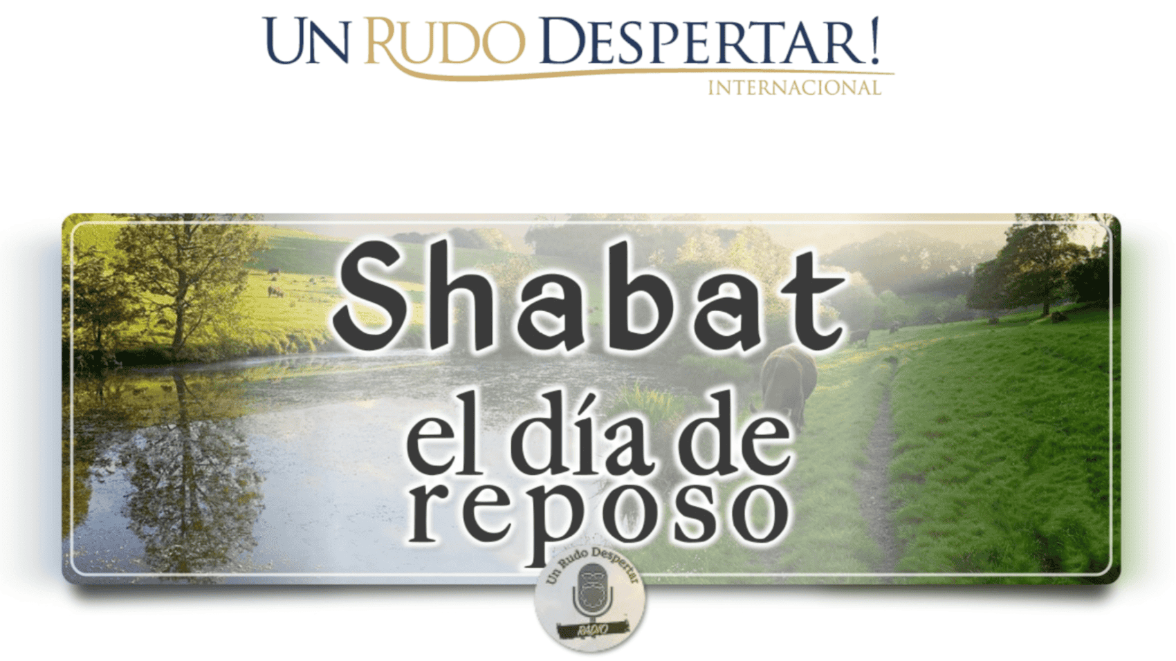 Screen Shot 2019-08-26 at 1.54.48 PM