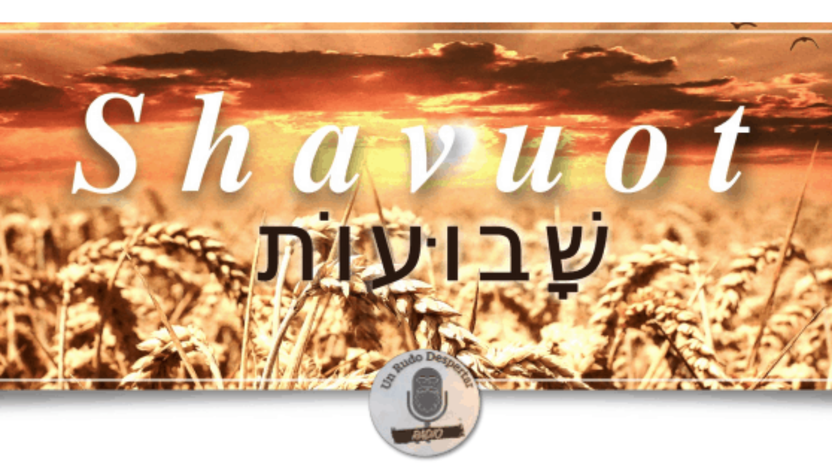 Screen Shot 2020-05-26 at 9.37.30 AM