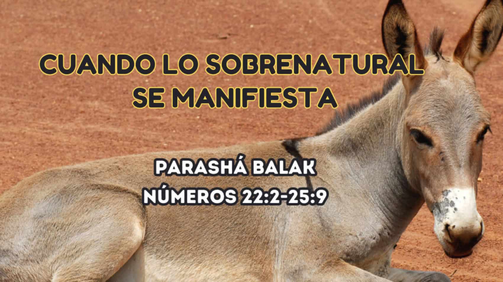 Header of Parashá Balak