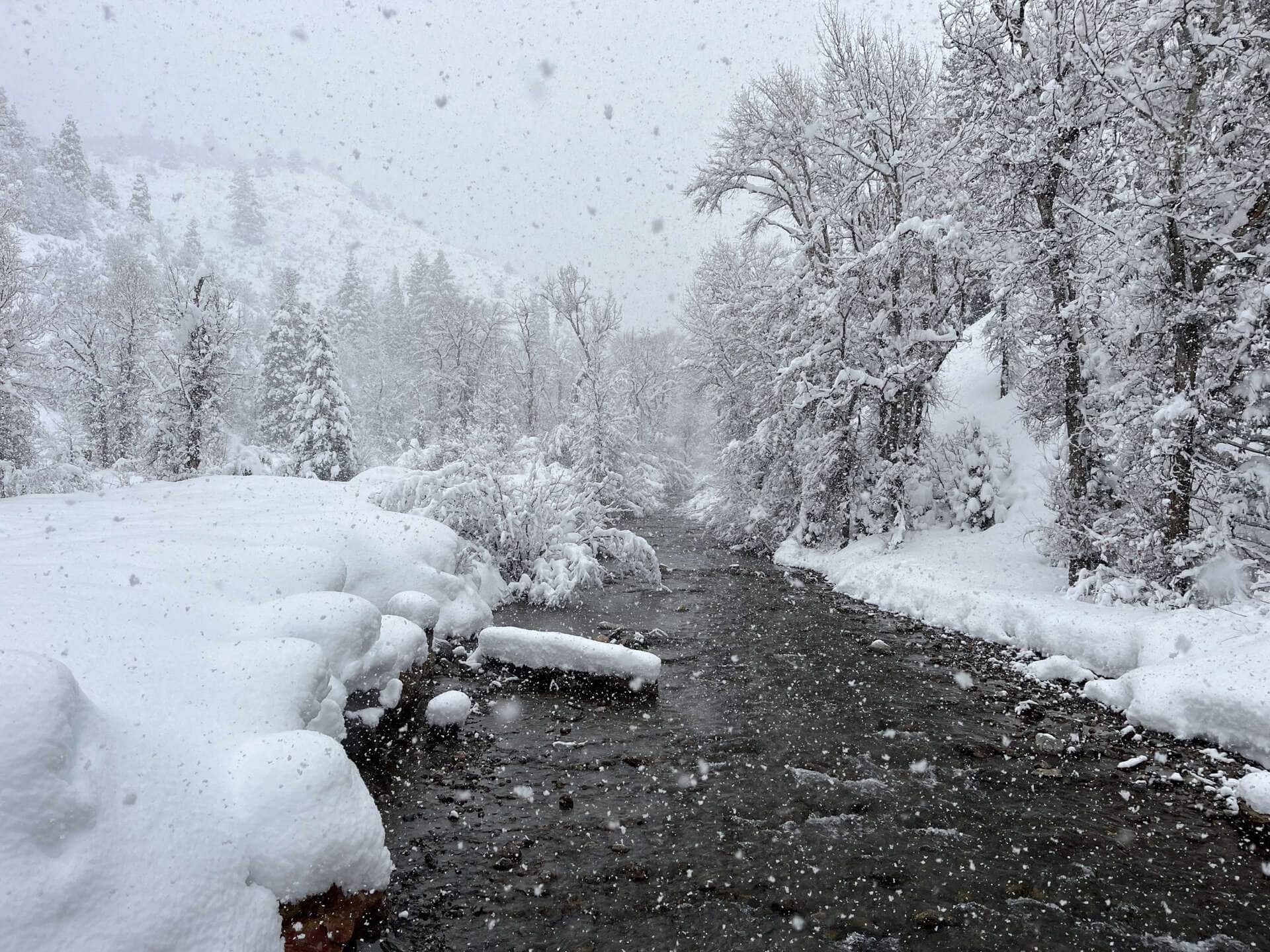 Snow-covered landscape with a flowing river, winter trees blanketed in snow, and falling snowflakes creating a serene and cold winter scene at UVU Review.