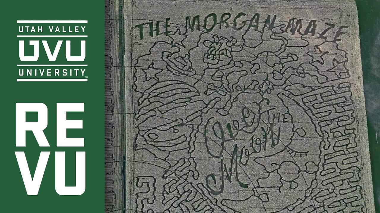 Vivid aerial view of a large maze shaped like a cornfield, featuring the text "The Morgan Maze" and the Utah Valley University (UVU) logo, highlighting UVU's involvement in community and campus activities.