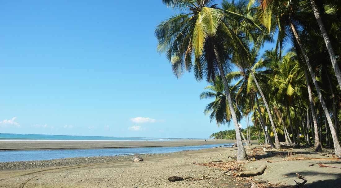 The top 5 things to do in Dominical, Costa Rica