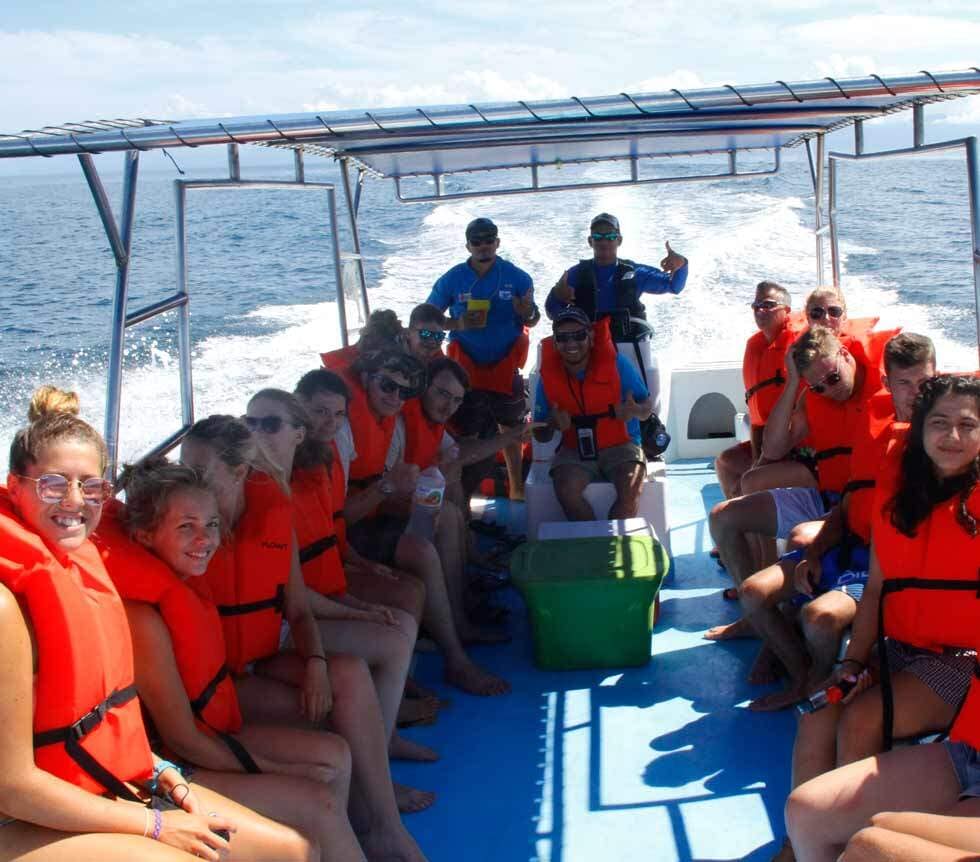 whale watching in uvita tours