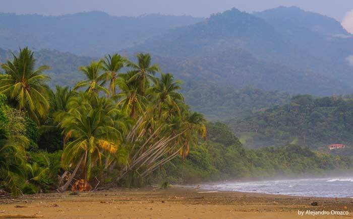Playa Uvita, Costa Rica