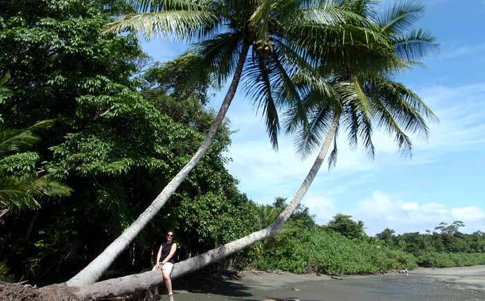 Beach Corcovado National Park Costa Rica