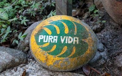 PURA VIDA: The Meaning, The Use