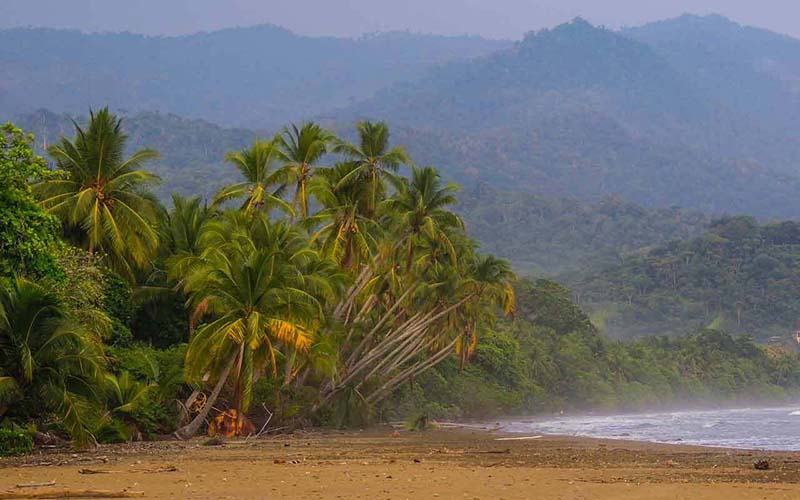 Humpback whale breaching near Dominical, Costa Rica