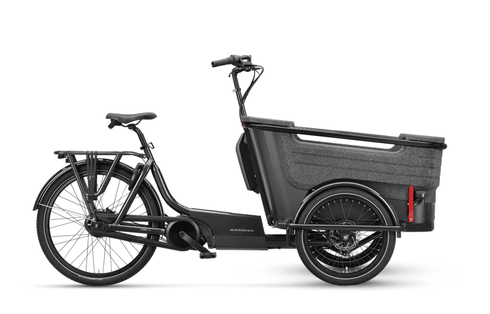 Batavus Fier-3
