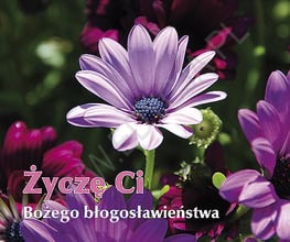 Perełka 215. Życzę Ci Bożego Błogosławieństwa