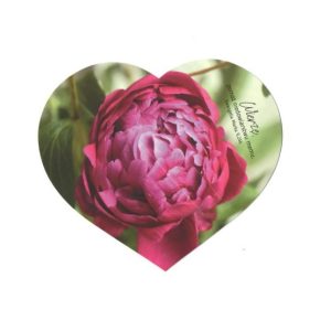 Kartka Warto 2020 – piwonia