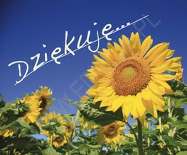 Perełka 23. Dziękuję…