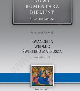 NKB – Ewangelia wg św. Mateusza cz. II 14-28