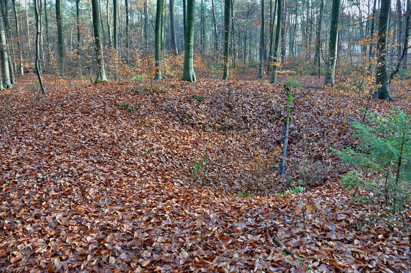 Alter Baueinbruch im Laubwald, Natur-Naturschutz, Waldboden mit Blättern, Umwelt-Ökologie, lokalisiert in Deutschland.