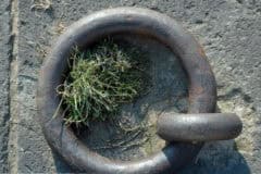 Alte Ankerkette mit Graswuchs, Rost auf Steinterrasse, maritime Geschichte, restoration, Dekoration.