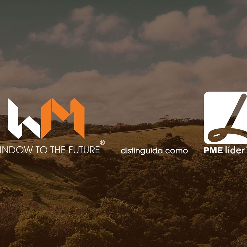 Window to the Future distinguida como PME Líder 2025