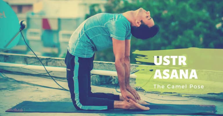 Ustrasana Procedure (Camel Pose) – Steps, Benefits and Contraindications