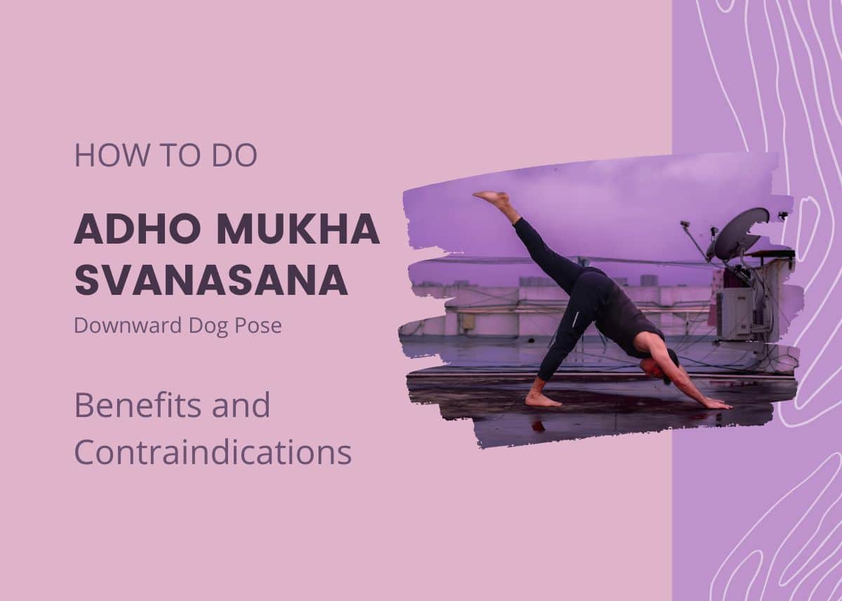 How to do Adho Mukha Svanasana (Downward Dog Pose) – Adho Mukha Svanasana Benefits and Contraindications How to do Adho Mukha Svanasana (Downward Dog Pose) – Adho Mukha Svanasana Benefits and Contraindications