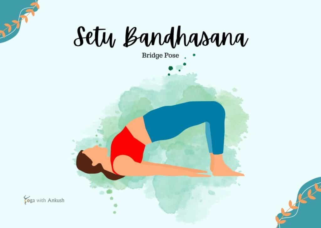 Setu Bandha Sarvangasana Procedure (Bridge Pose) – Steps, Benefits, and Contraindications Setu Bandha Sarvangasana Procedure (Bridge Pose) – Steps, Benefits, and Contraindications