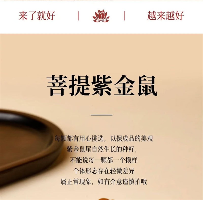 天然紫金鼠手串新中式實心原籽葫蘆手鏈