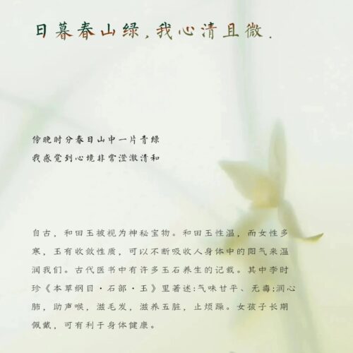 玉蕊天然晴水漸變和田玉手串：圖片 3