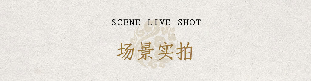 禪意國風手作幾何天然虎眼石耳環