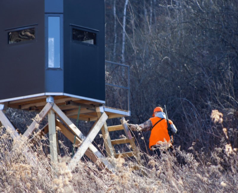 hunter walking up ladder to deer stand